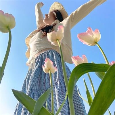 派特森与芬达猫4